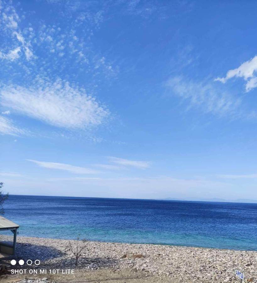 Despoina Seaside Apartment Agios Konstantinos  Exterior photo